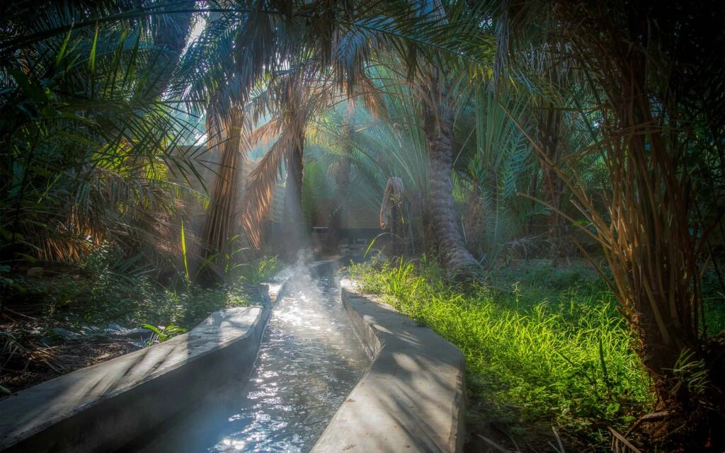 Top 20 Places to Visit in Al Ain 2 Al AIn Oasis