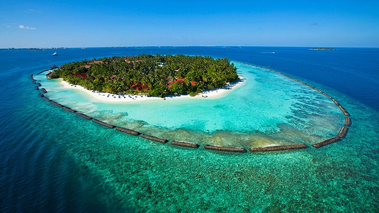 Kurumba Maldives book with tamara and tabby