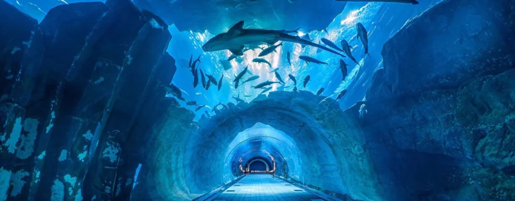 dubai aquarium and underwater zoo with tabby or tamara