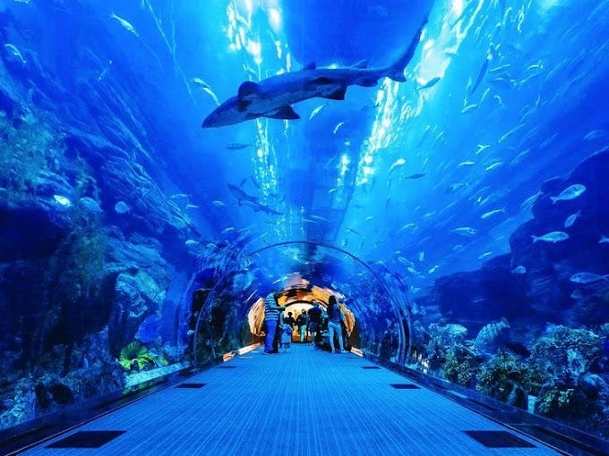 dubai mall aquarium and underwater zoo with tamara and tabby