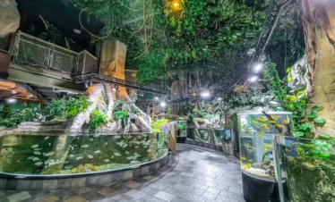 dubai mall aquarium ticket price with tamara and tabby