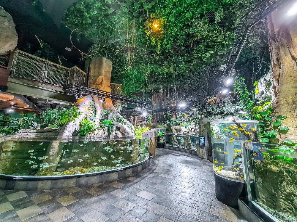 dubai mall aquarium ticket price with tamara and tabby