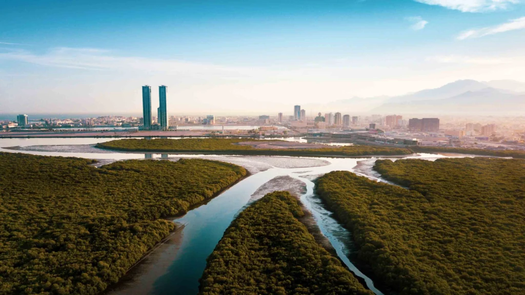 Budget Tours in UAE: Explore More for Less 5 ras al khaimah tours in UAE