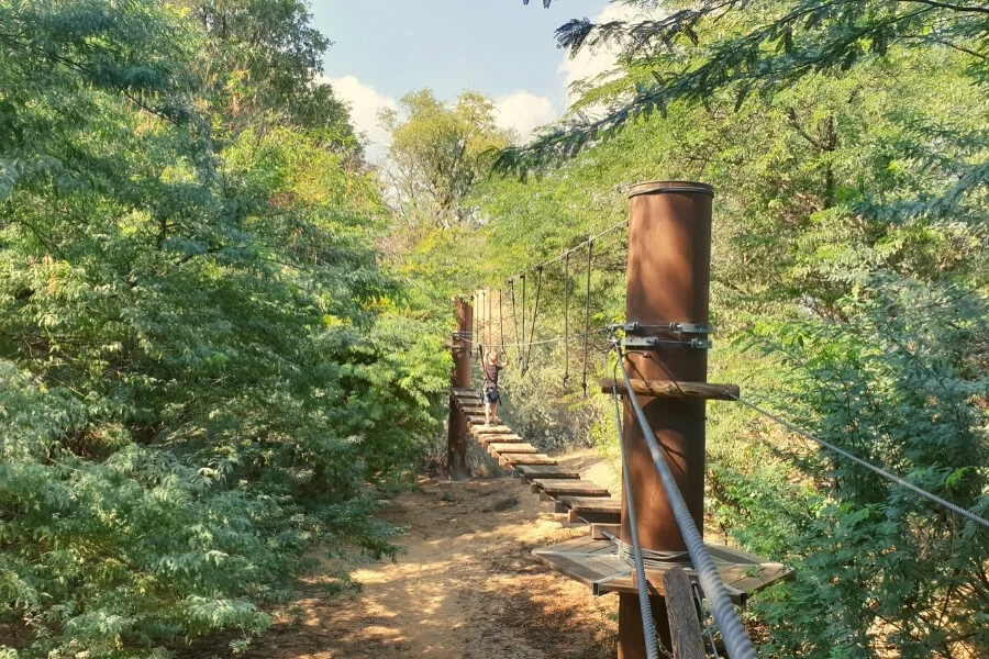 Aventura Parks Dubai Adventure Awaits in the Heart of Nature 7 Balance beam challenges