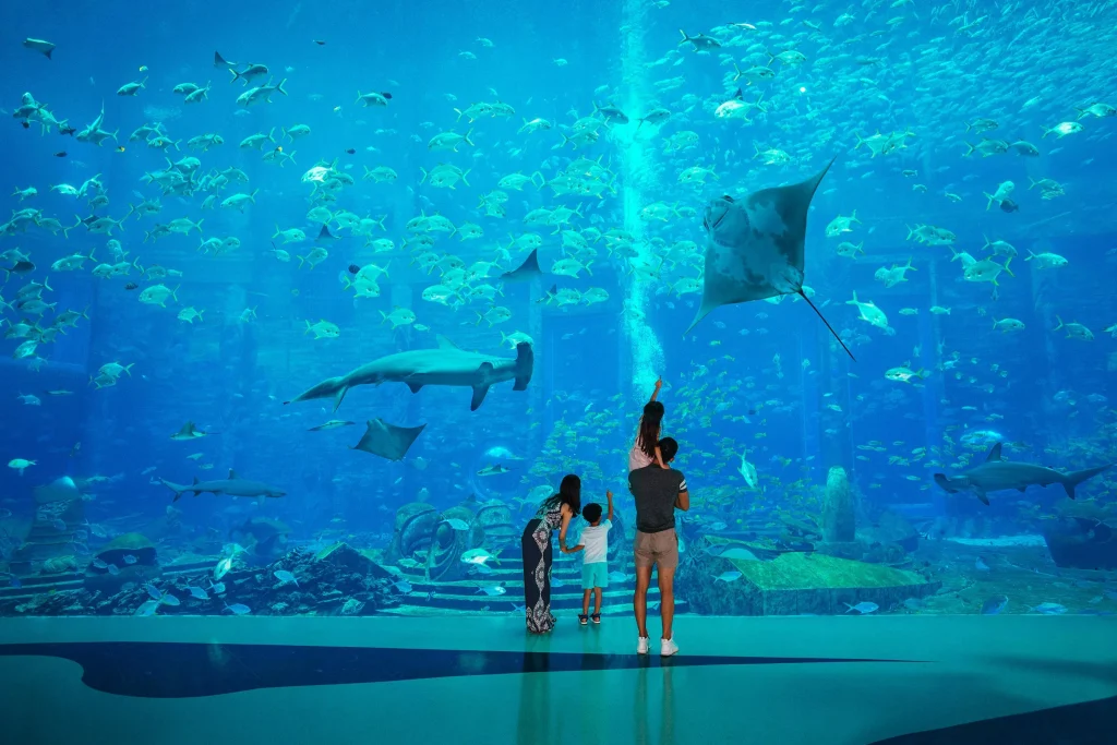 atlantis the palm dubai aquarium tickets with tabby and tamara