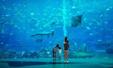 atlantis the palm dubai aquarium tickets with tabby and tamara