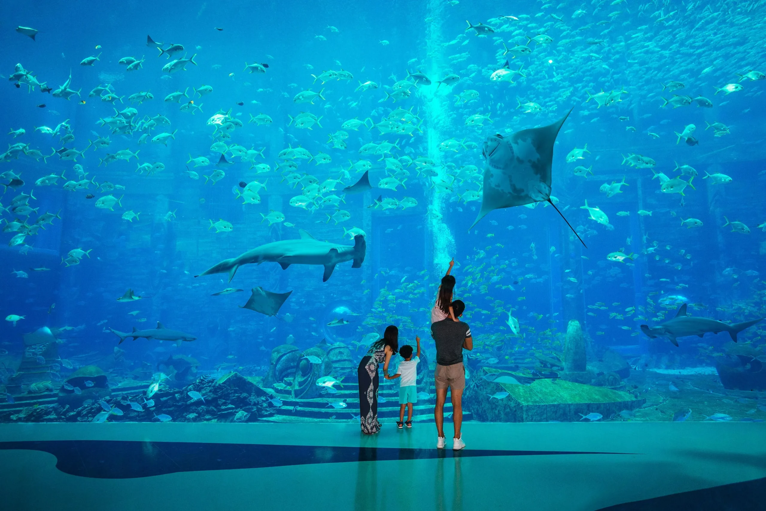 atlantis the palm dubai aquarium tickets with tabby and tamara
