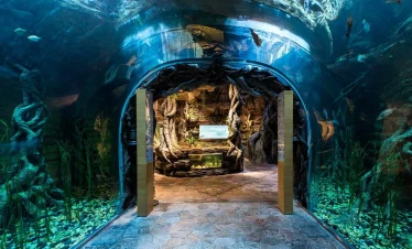 green planet dubai entry fee with tabby