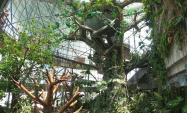 green planet dubai ticket price with tamara