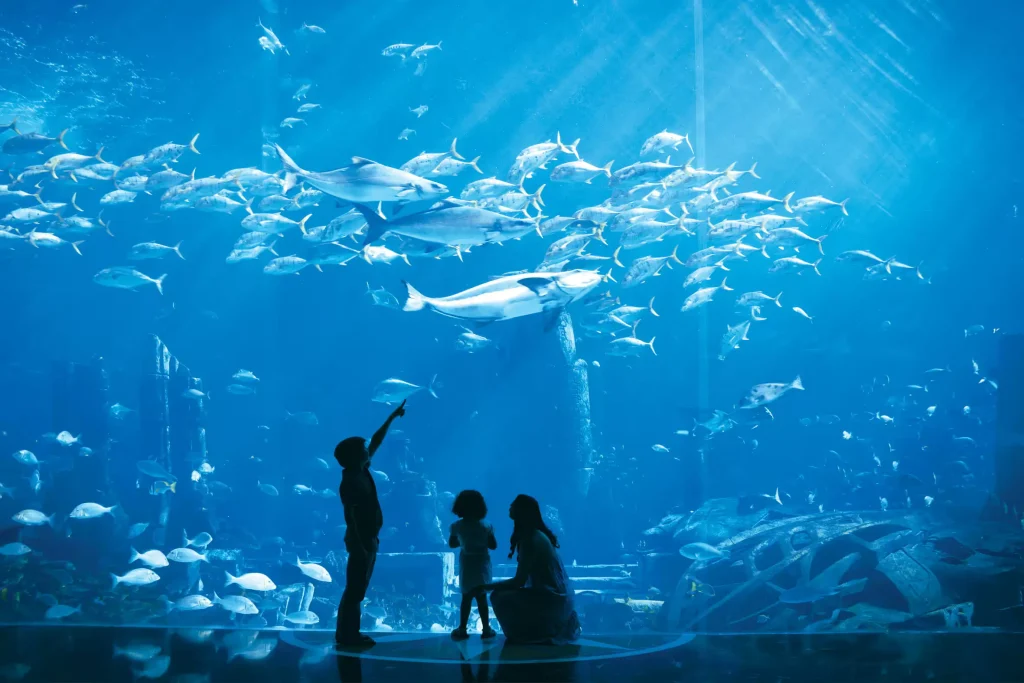 lost chambers aquarium at atlantis the palm