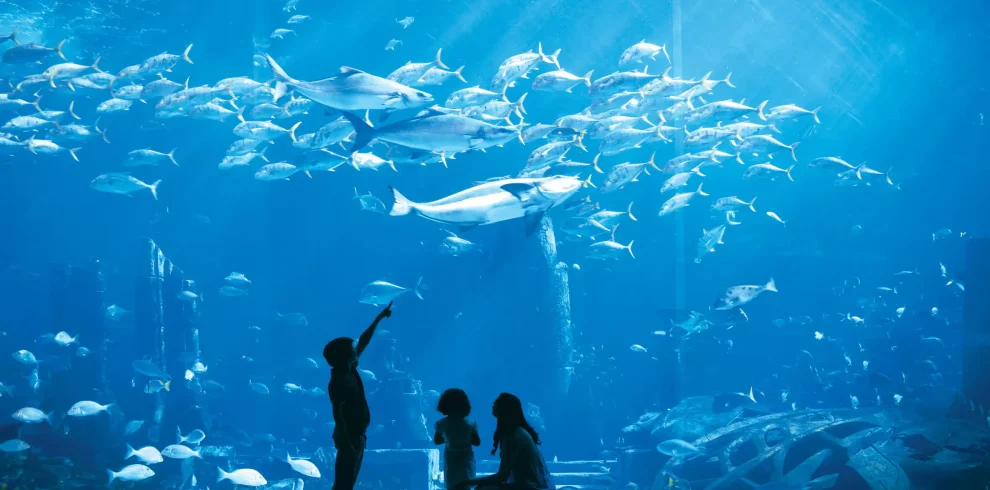 lost chambers aquarium at atlantis the palm