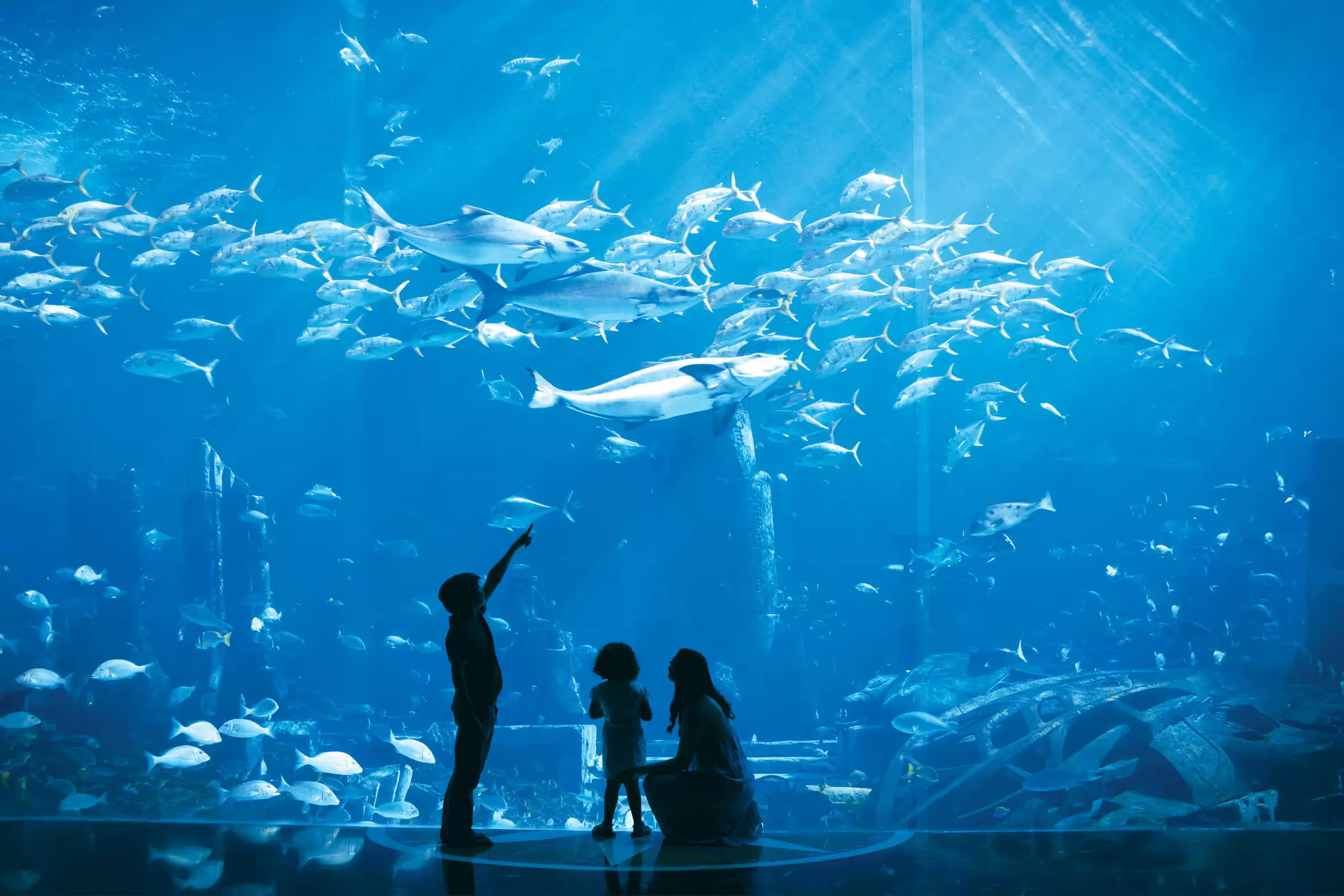 lost chambers aquarium at atlantis the palm