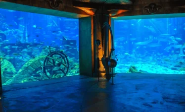 lost chambers aquarium dubai with tabby or tamara