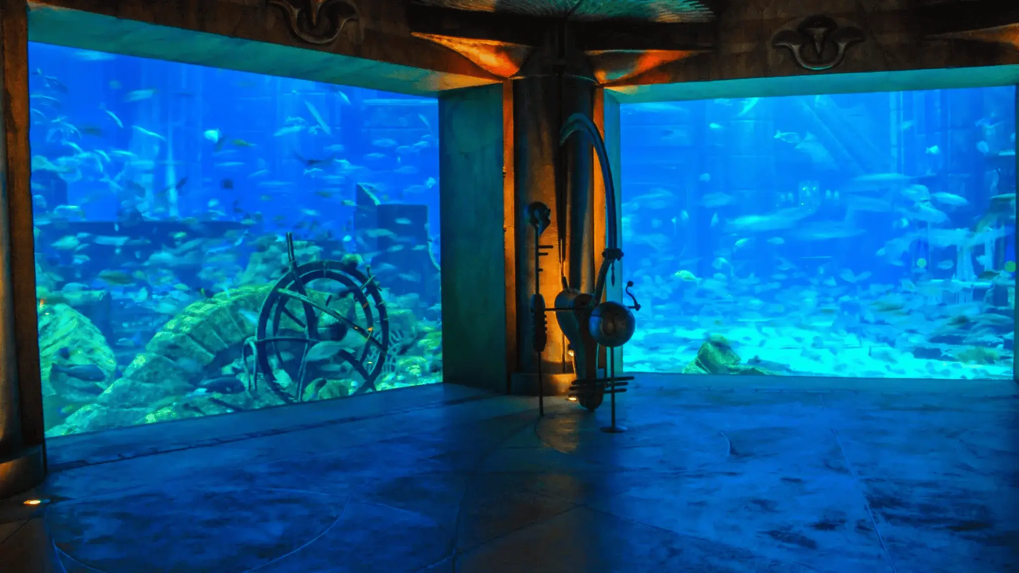lost chambers aquarium dubai with tabby or tamara