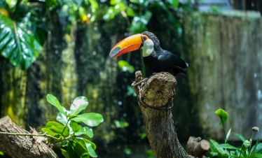 the green planet city walk al wasl dubai