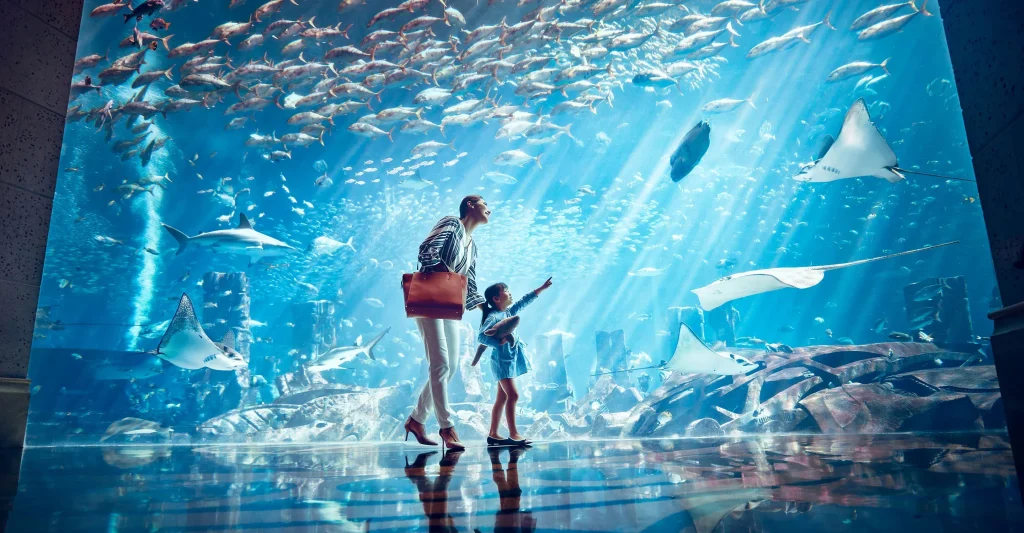 the lost chambers aquarium Dubai with Tamara and tabby
