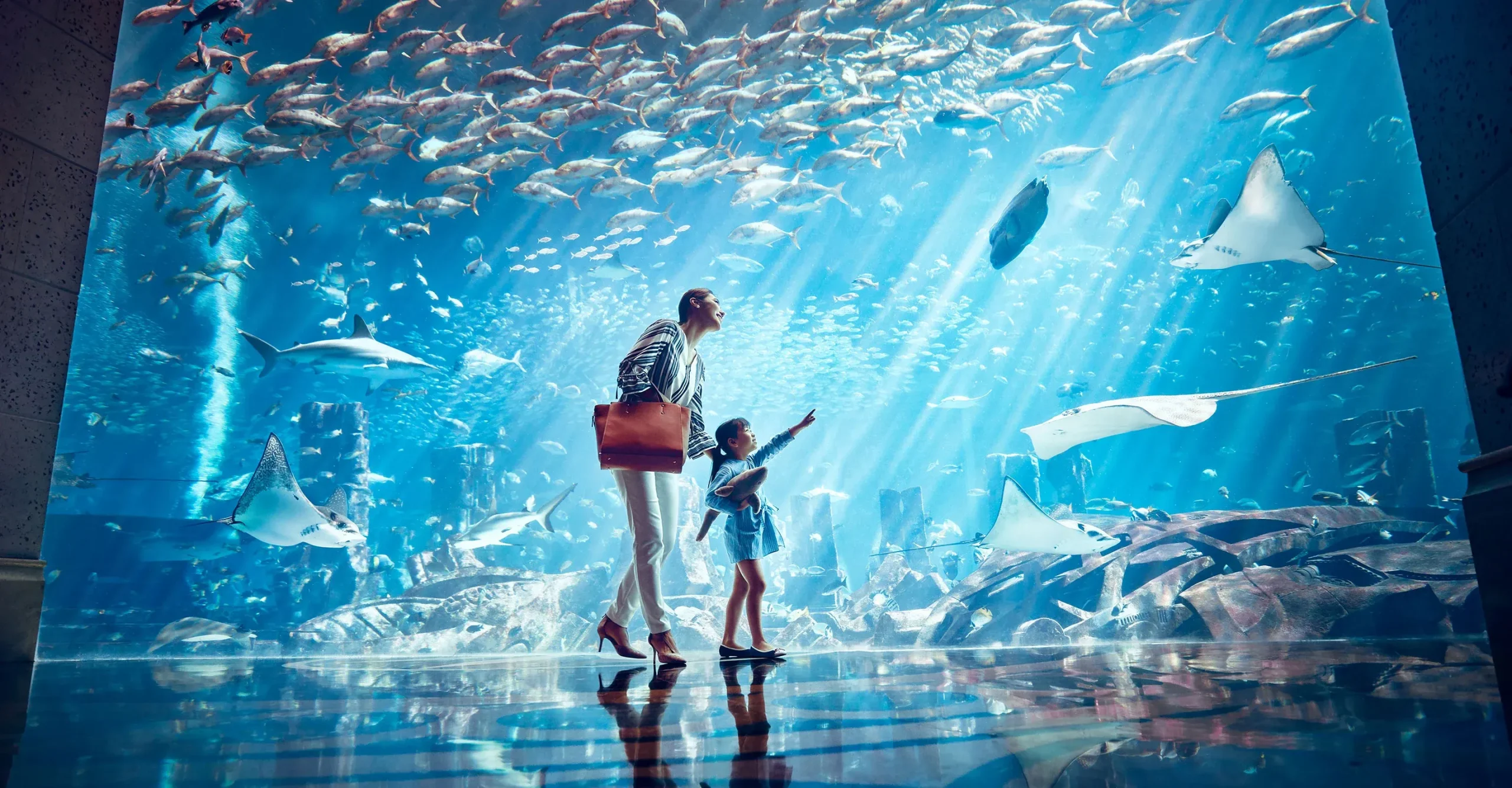 the lost chambers aquarium Dubai with Tamara and tabby