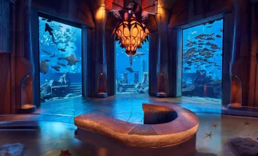 the lost chambers aquarium at aquaventure world tickets (1)