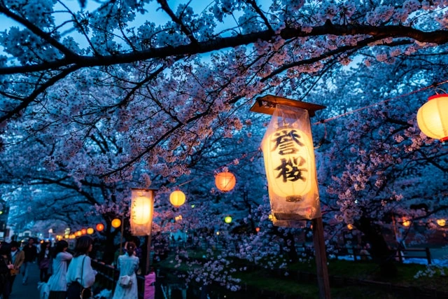 Japan tour packages from Dubai