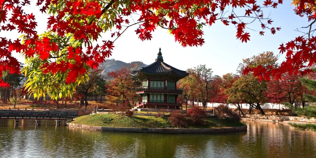 South Korea Tour packages from Dubai
