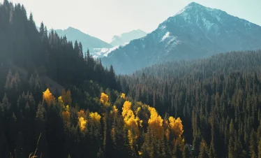 almaty city tour packages from Dubai pay with tabby and tamara