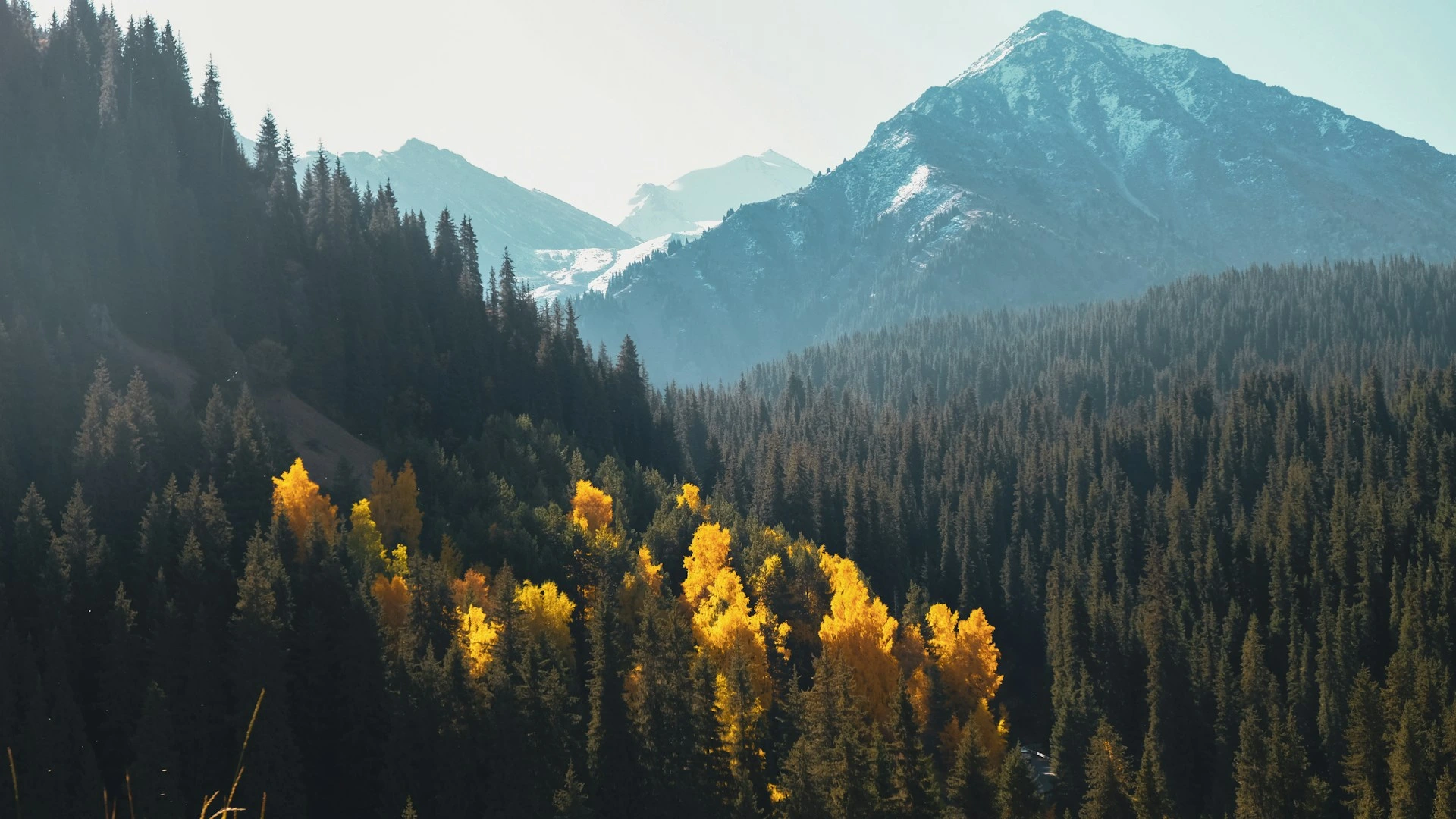 almaty city tour packages from Dubai pay with tabby and tamara