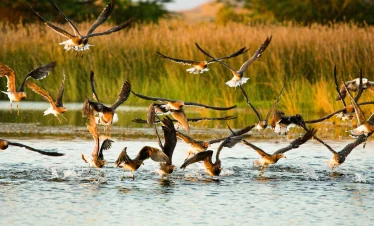 salalah oman tour package from dubai with tamara and tabby