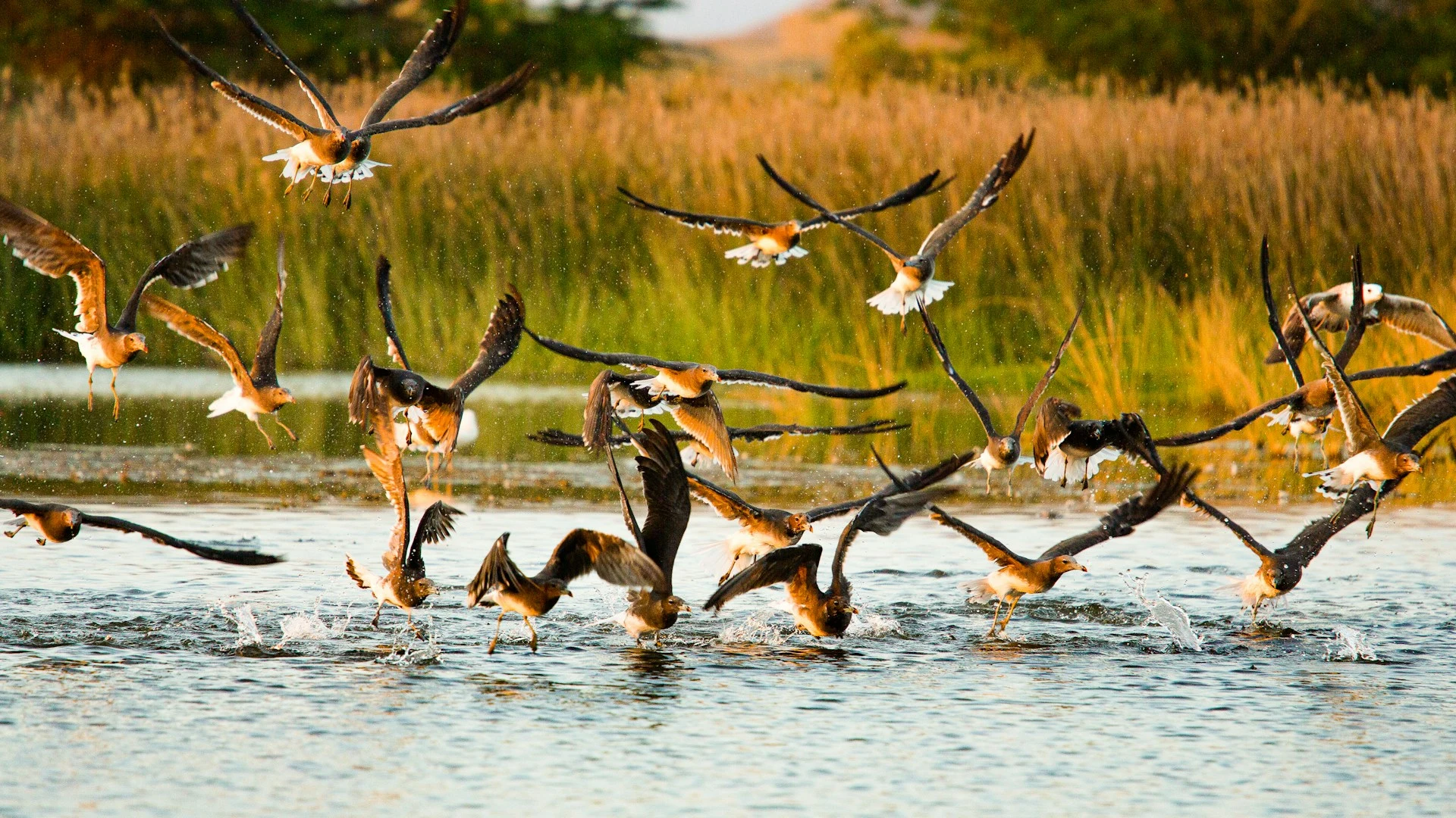 salalah oman tour package from dubai with tamara and tabby