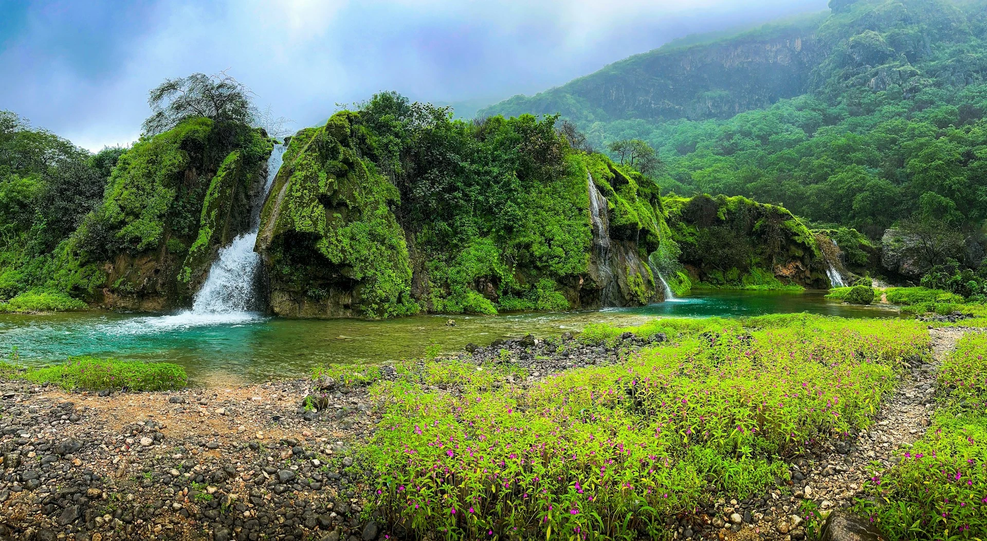 salalah oman tour package with tamara or tabby