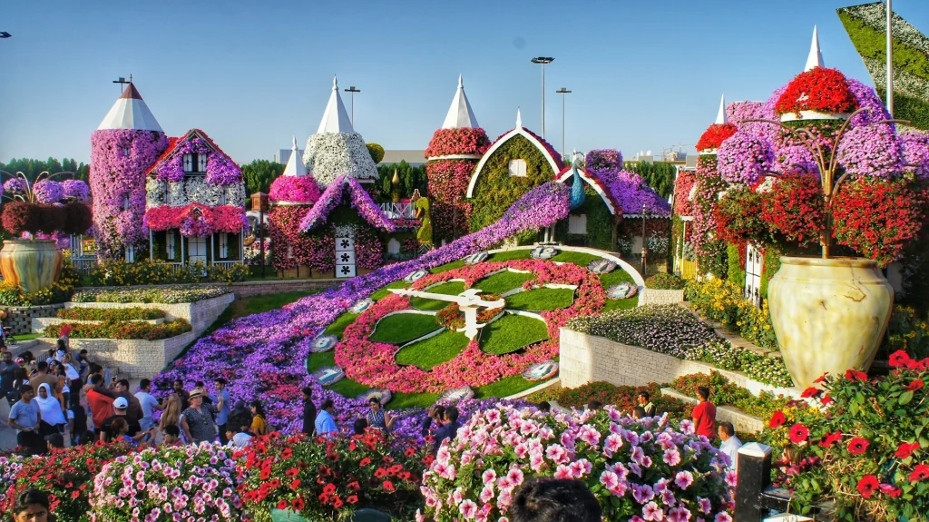 dubai miracle garden tickets pay with tabby and tamara