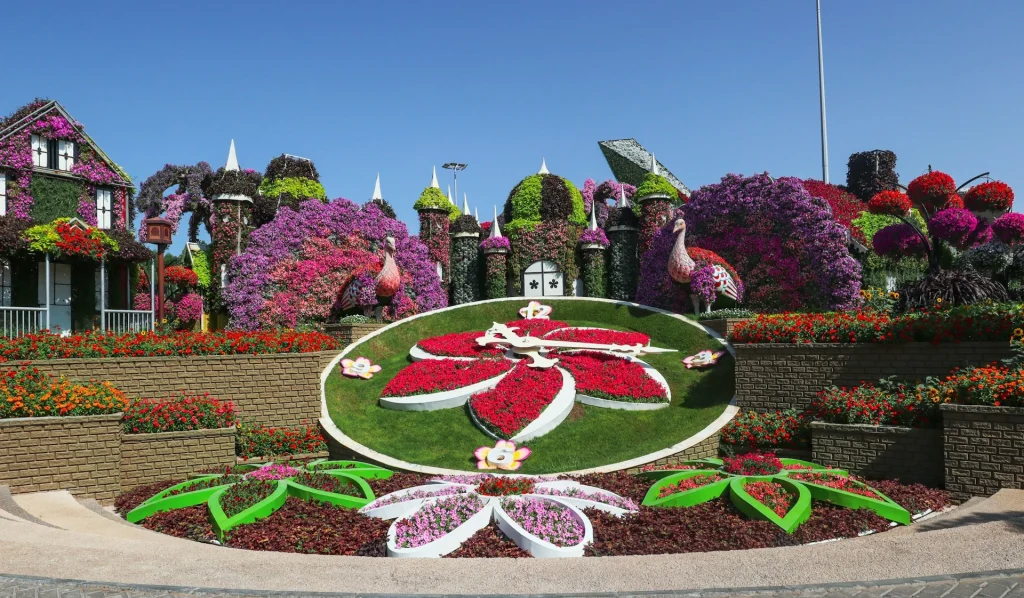 tickets for miracle garden dubai with tamara and tabby