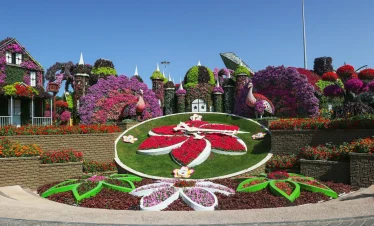 tickets for miracle garden dubai with tamara and tabby