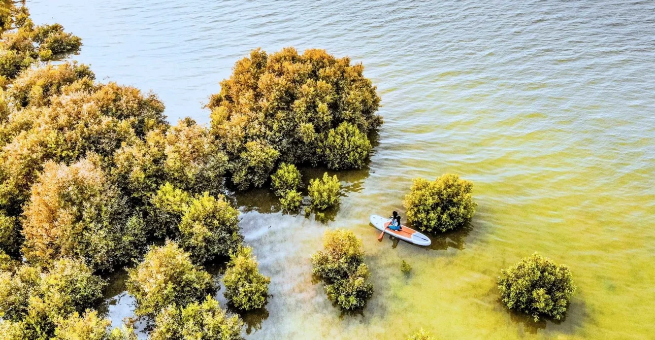 Things to Do in Umm Al Quwain: Complete Guide for a Day Trip from Dubai 1 Things to Do in Umm Al Quwain: Complete Guide for a Day Trip from Dubai