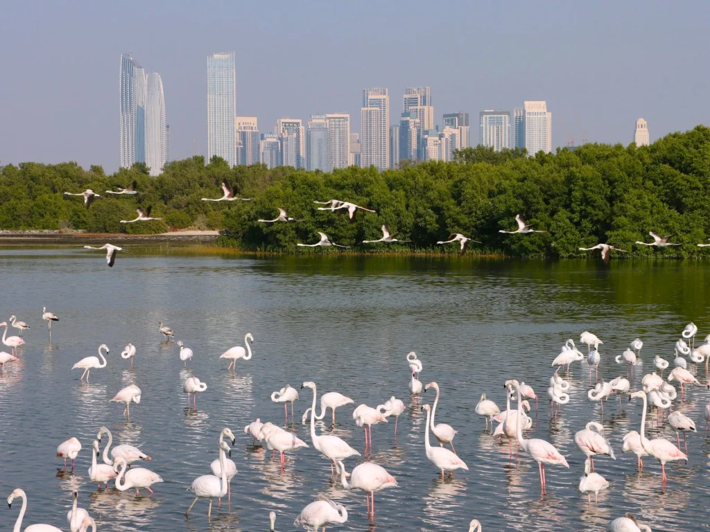 Dubai Visa for South Africans 4 dubai tourist visa for south africans