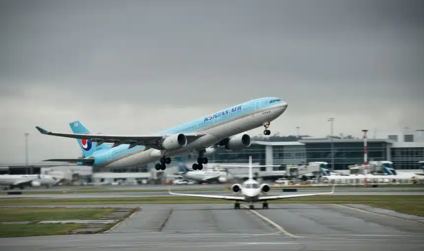 Why Are Online Flight Tickets Cheaper Than Travel Agency Prices? 1 tamara flight booking online in UAE