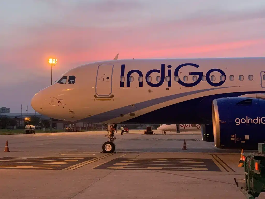 flight ticket price goindigo with tabby and tamara