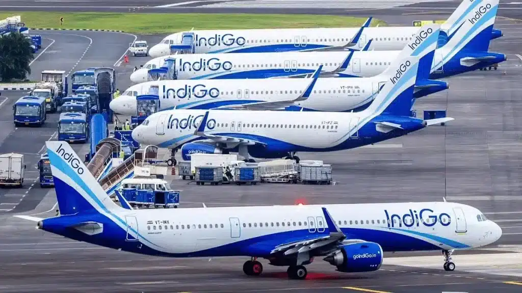 goindigo ticket booking with tamara and tabby