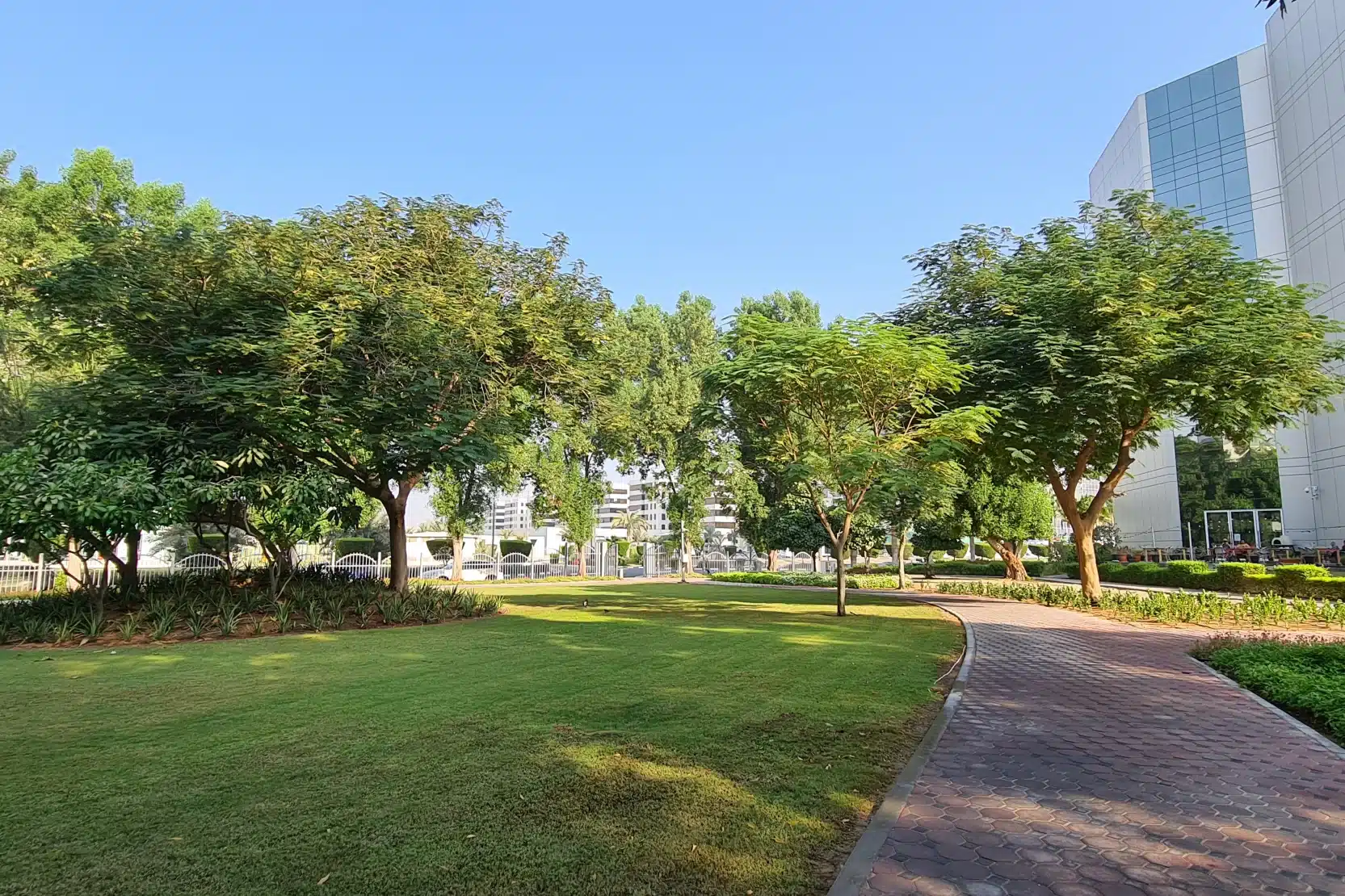 best travel agency in DIP