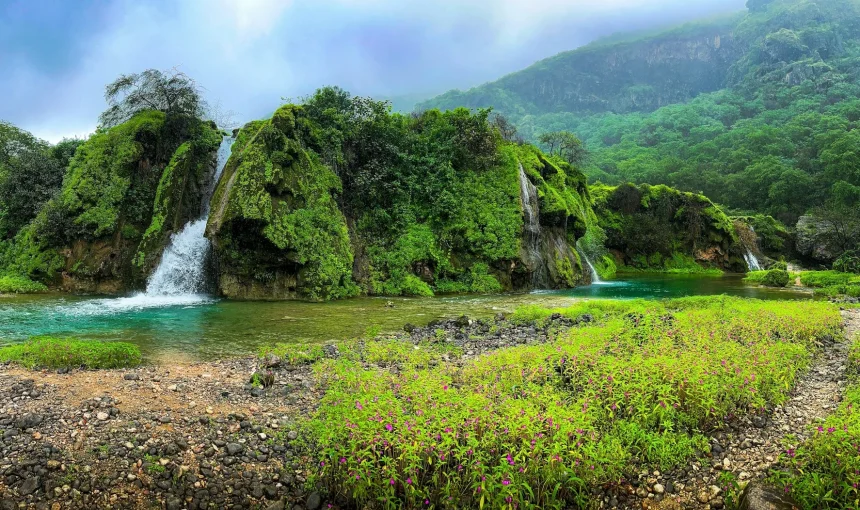 Oman Visa for UAE Residents | We Apply for You 1 oman city salalah tour