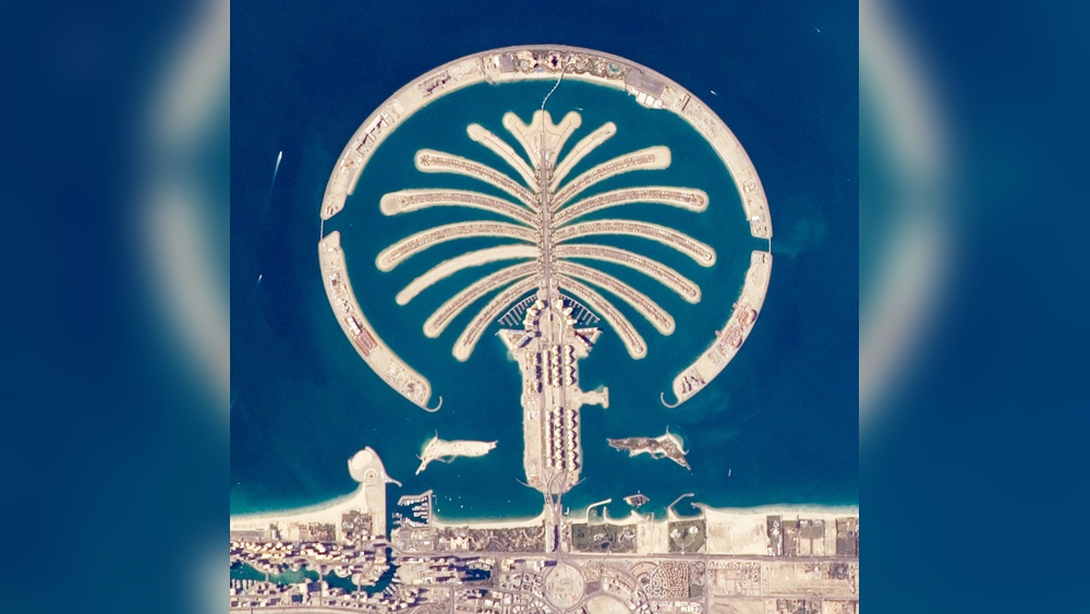 Palm Jumeirah Island Dubai Luxury Living 1 Palm Jumeirah Island Dubai