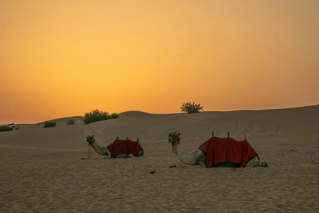 Sunset in Dubai: Best Spots to Experience Breathtaking Views 4 time of sunset in dubai