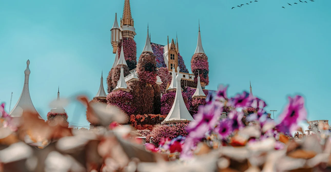 Best Travel Agency Dubai for Tour Visa Services 2 Best Travel Agency Dubai for Tour Visa Services