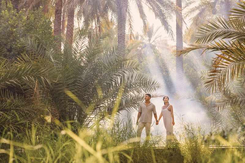 Al Ain Oasis Abu Dhabi: Explore a UNESCO Green Sanctuary 4 Al Ain Oasis Abu Dhabi