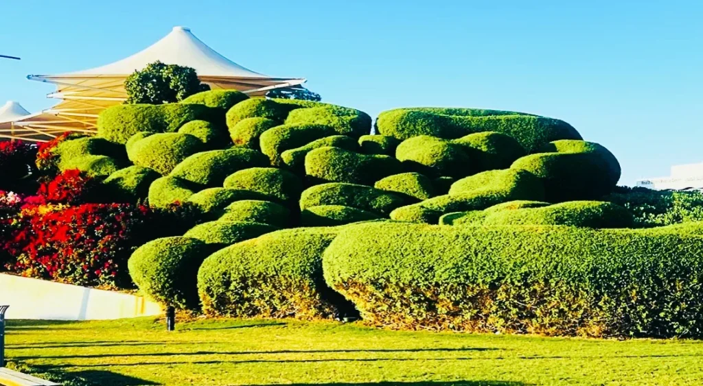 Khalifa Park in Abu Dhabi - Family Fun and Attractions 2 Khalifa Park location