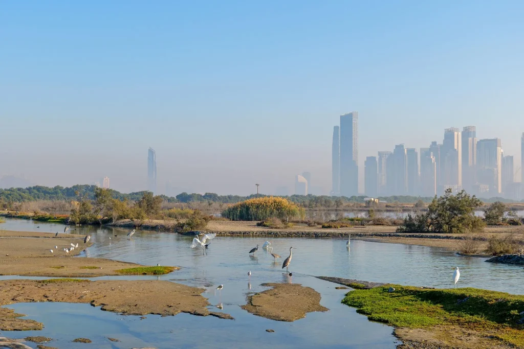 Ras Al Khor Wildlife Sanctuary: Dubai’s Hidden Nature Gem 3 Ras Al Khor Wildlife Sanctuary in Dubai