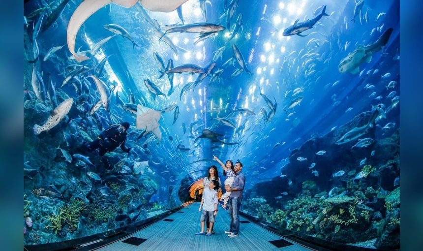 Dubai Mall Aquarium And Underwater Zoo: Visitor Guide 1 Dubai Mall Aquarium And Underwater Zoo