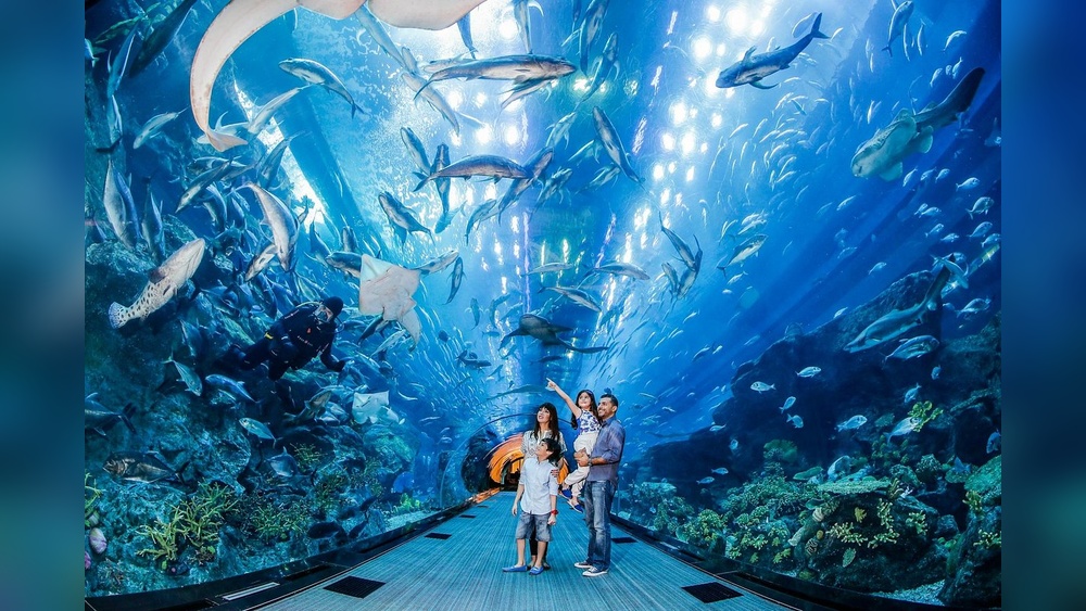 Dubai Mall Aquarium And Underwater Zoo: Visitor Guide 4 Dubai Mall Aquarium And Underwater Zoo