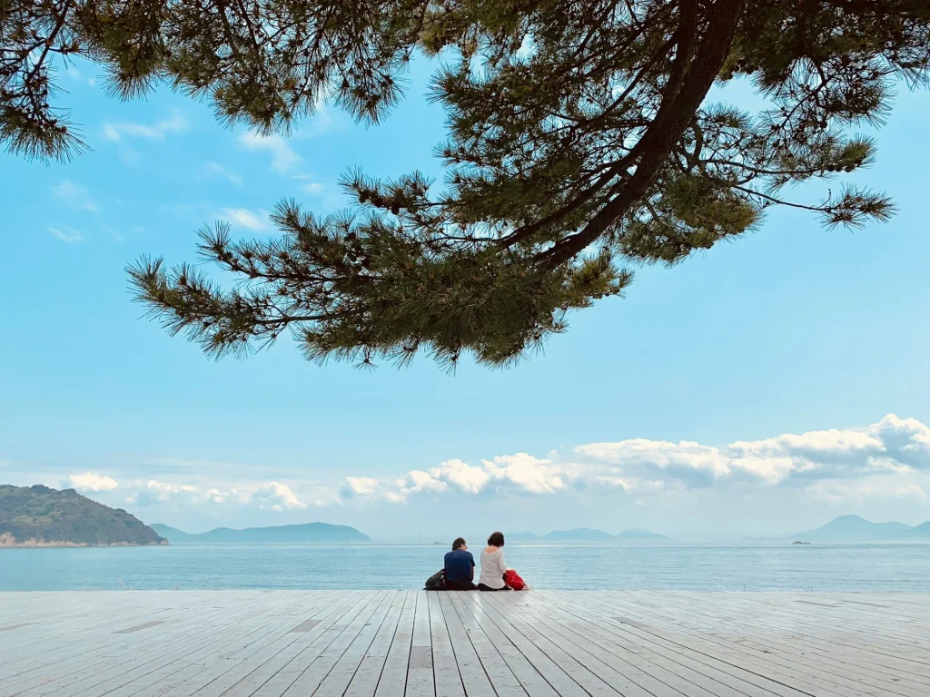 Japan Visa for UAE Residents 4 japan e-visa for uae residents