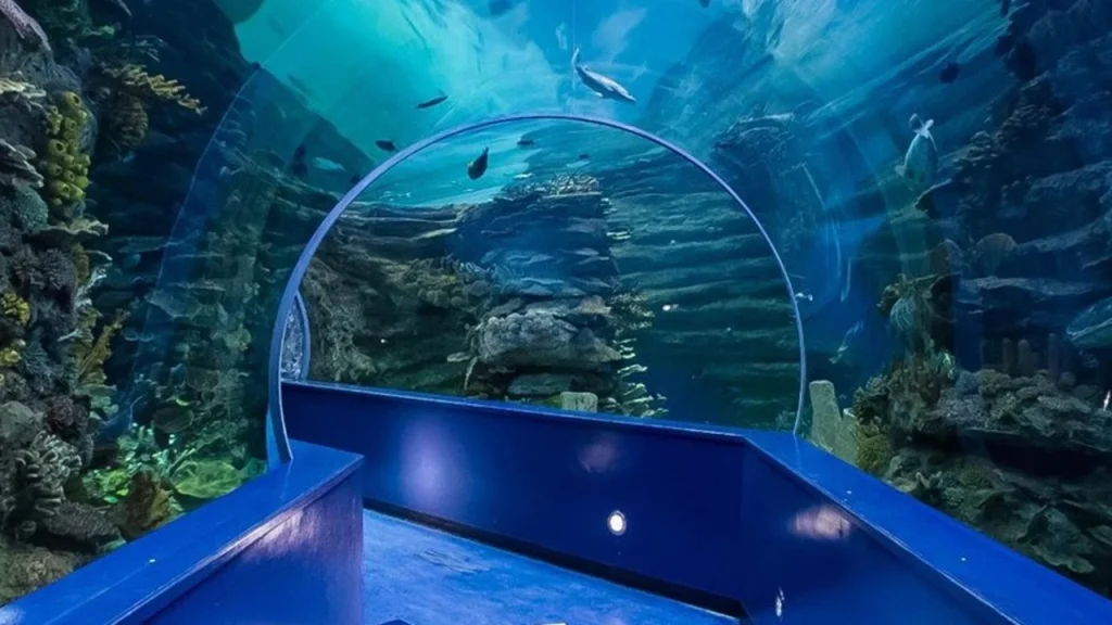 Sharjah Aquarium Review: Dive Into Marine Wonders Today 3 Sharjah Aquarium Review