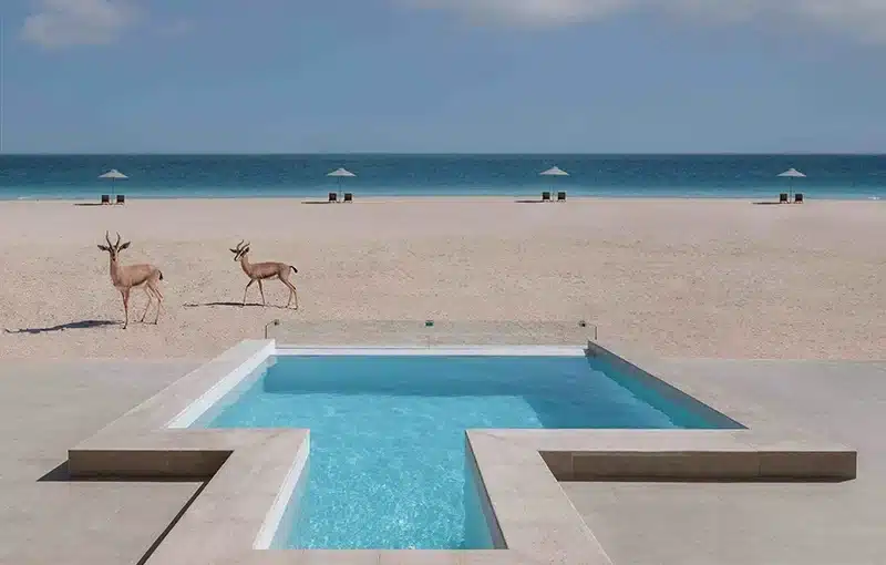 Sir_Bani_Yas_Island Abu Dhabi